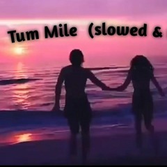 Tum Mile (Slowed+Reverb) (lofi swap) .mp3