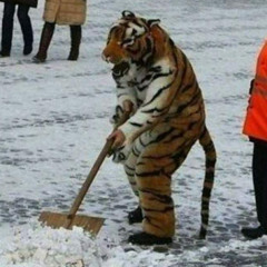 TO JE ZIVEJ TYGR KAMO (NEMA PTAKA)