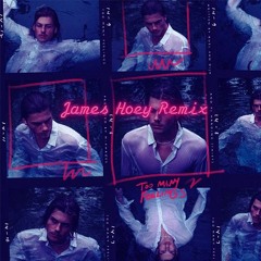 Ruel - Too Many Feelings (James Hoey Remix)