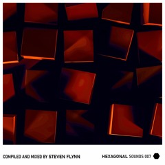 Hexagonal Sounds  007 - Steven Flynn
