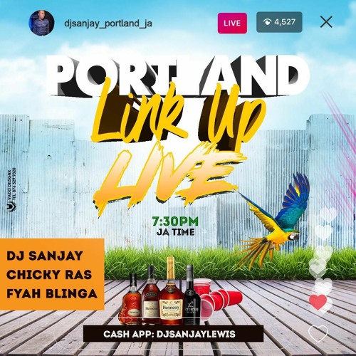LIVE AUDIO PART2 FT DJ SANJAY X CHICKY RAS X FYAH BLINGA