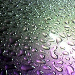 Alternative Question