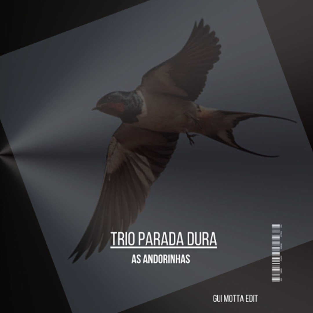Stream Trio Parada Dura - As Andorinhas (Gui Motta Edit) by Gui Motta ...