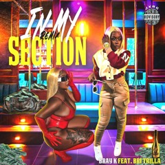 In My Section Remix (Feat Bri Trilla)