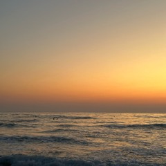 Summer Lab tEST 1