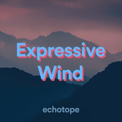Expressive Wind | Echotope