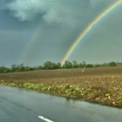 i dont belong (put on the mask)