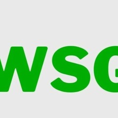 Decoding the Meaning of "WSG": Unraveling the Acronym