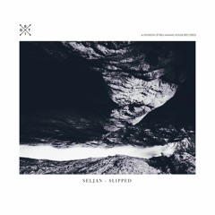 Seljan - Slipped (Radio Edit)