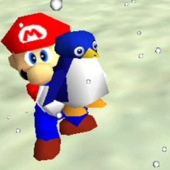Punt the Penguin - Super Mario 64 Song