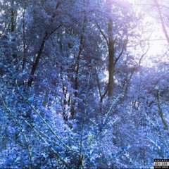 dismiss (prod by. nate22) [2022]