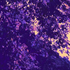 Fractals