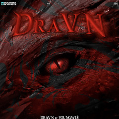 DraVN - YoungWis