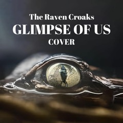 The Raven Croaks - Glimpse Of Us (Cover)