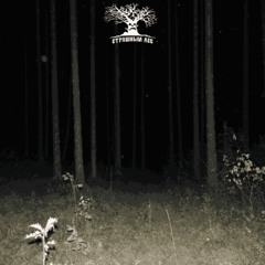 Палiй / Давид [PROD SUBARCHIVE] SKOTOMOGILNIK EXCLUSIVE 🎃🎃🎃