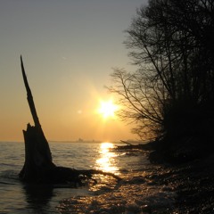 The Sun Was There For You