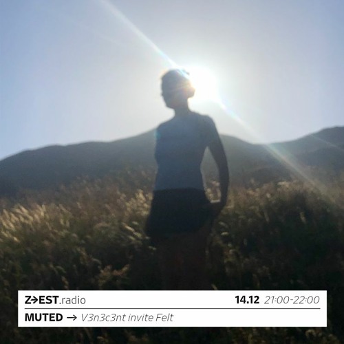 MUTED : V3n3c3nt invite Felt - 14/12