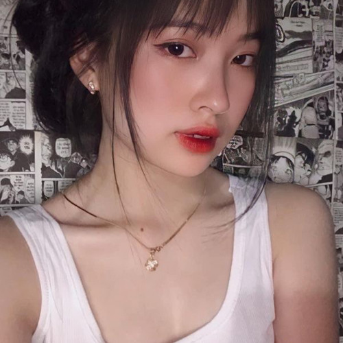CÁNH HỒNG PHAI REMIX