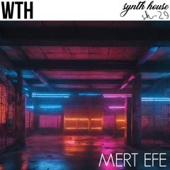 Mert Efe - "WTH" [synth house records]