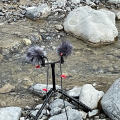 Canyon Creek 220531 - T005 CM4(x2) ORTF 96/24 Zoom F8n