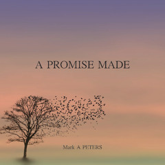 A Promise I made
