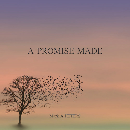 A Promise I made
