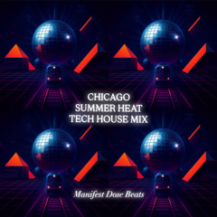 Chicago Summer Heat | 30 Min Tech House Mix