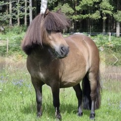 HNDHVR rehearsals 260925 (SESSION 01)