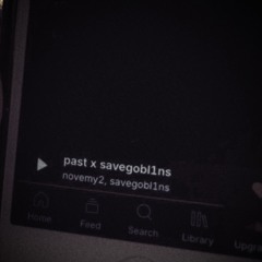 past x savegobl1ns
