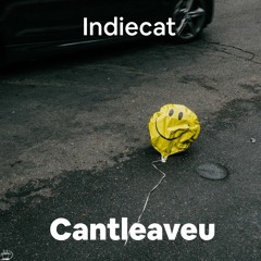 Indiecat - Cantleaveu