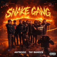 Snake Gang Ft Antbo00