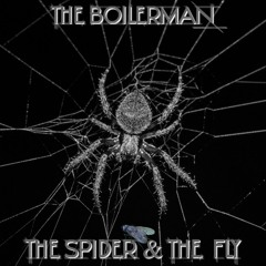 The Spider & The Fly