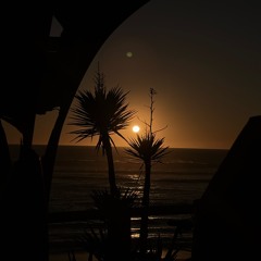 Alex Carvajal - She says