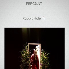 PERC%NT-Rabbit Hole