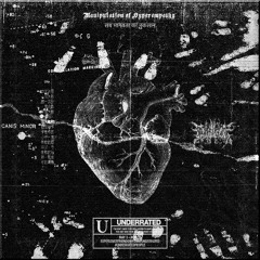 𝔐𝔞𝔫𝔦𝔭𝔲𝔩𝔞𝔱𝔦𝔬𝔫 𝔬𝔣 ℌ𝔶𝔭𝔢𝔯𝔢𝔪𝔭𝔞𝔱𝔥𝔶 // सब मानवता का नुकसान