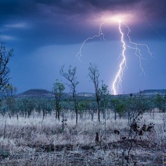 Lockdown mayhem VOL 1  ( CHEVRON SET )