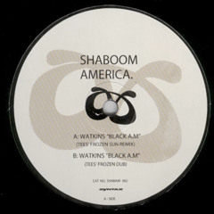 Watkins - Black A.M. (Tee's Frozen Sun Remix)