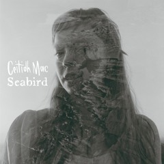 SEABIRD EP ~ CEITIDH MAC