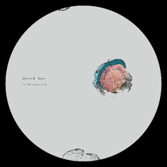 David San - iridiscencia