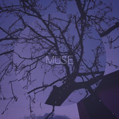 muse (feat. Kirkinson)