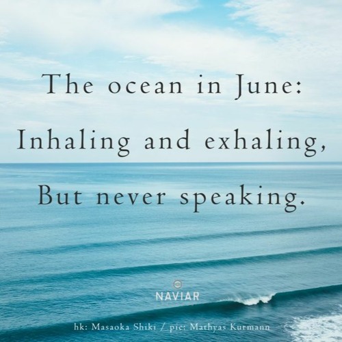 The Ocean (naviarhaiku389)