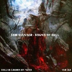 Tom Stanzer - Talking Out Of Hell  - Nexo Remix   Preview