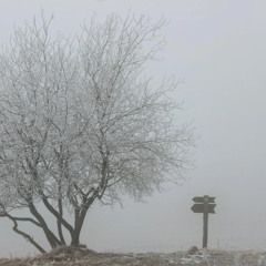 February in My Soul (songwriter demo #2 - Americana)