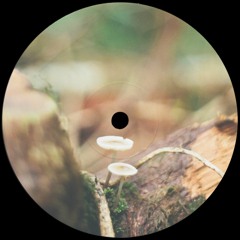 PREMIÈRE: AJ Edward - 2am On The A34