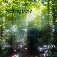 Walking Mate