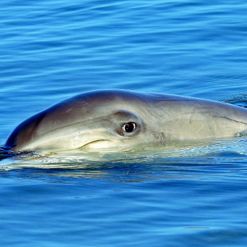 I SEE U TYPE BEAT FREE FOR PROFIT