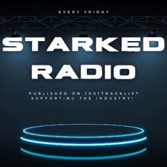 Started Radio 132
