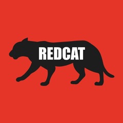 THE BASS AFTERHOUR @RED CAT CGN