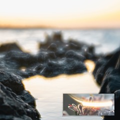 Tide Pools
