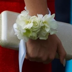 The Page (Full-Band Demo)